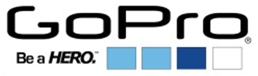 Past Clients of Diatomic Product Development